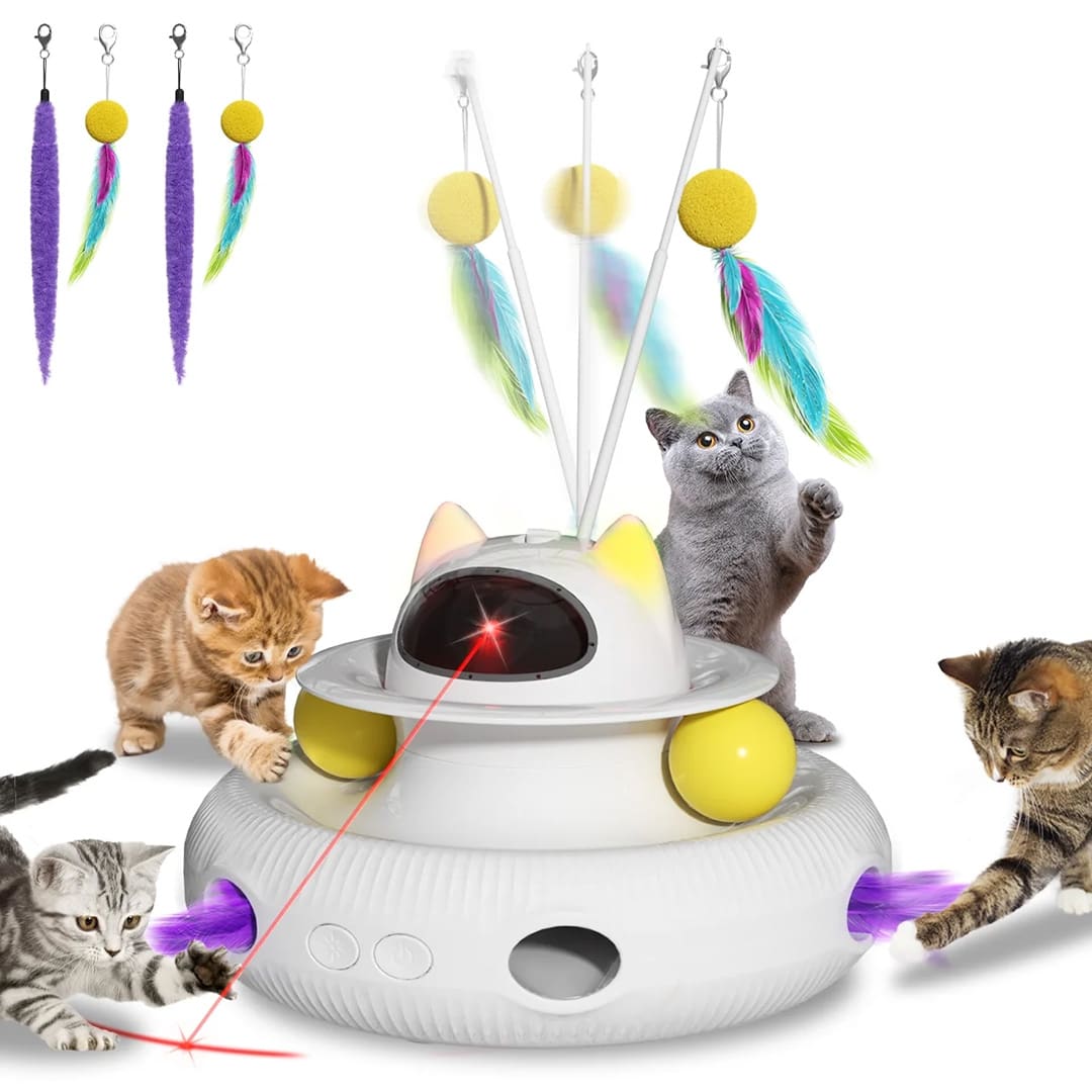 レノックス猫 Playing with Peares レノックス猫 Playing with Peares
