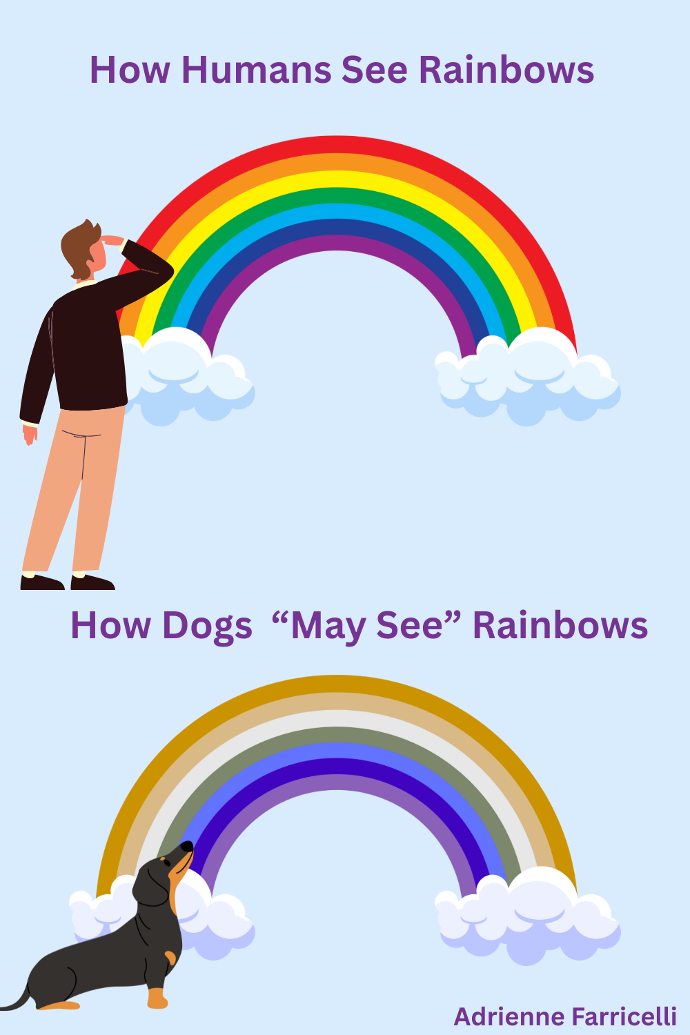How Dogs See Humans In Low Light Reference: 10 Strange Things Dogs Can Sense That Humans Cannot