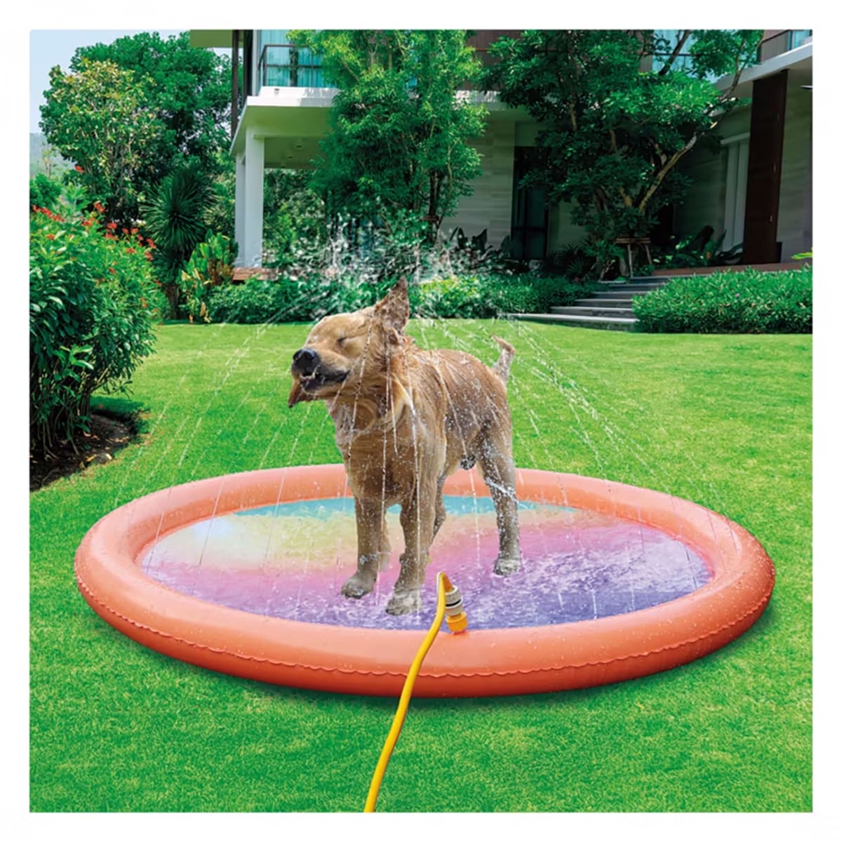 The Backyard-Ready $13 Aldi Find Your Dog Needs to Have - Parade Pets
