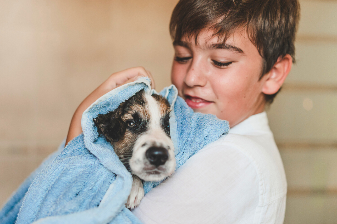 Anxious Puppy Drying Off After Bath photo