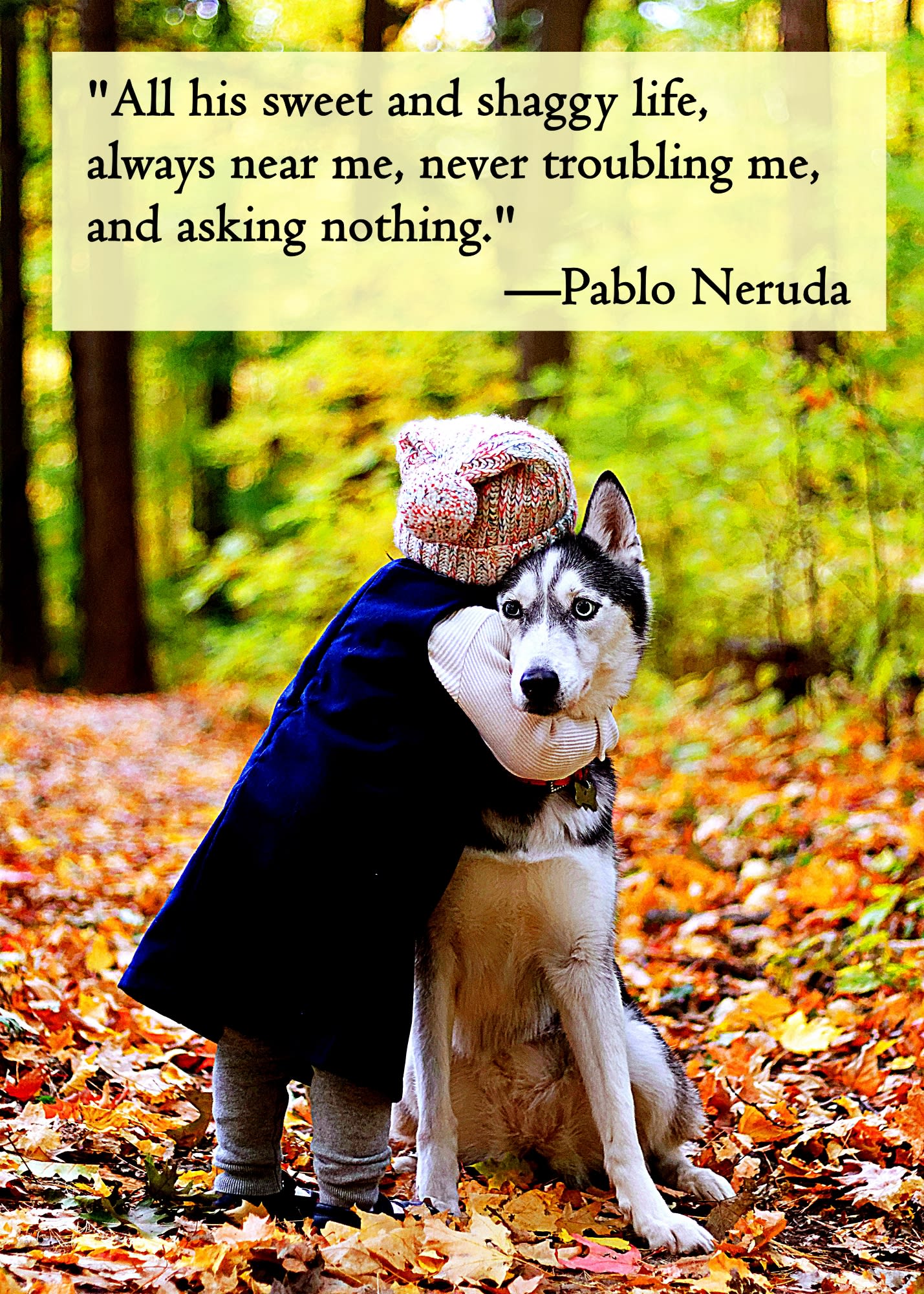 105 Comforting Pet Condolence Messages \u0026 Pet Sympathy Quotes - Parade Pets, image size:1429x2000