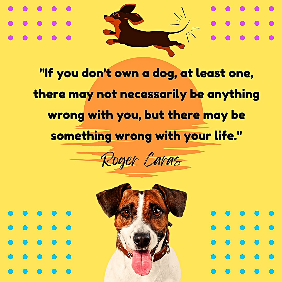 300 Best Pet Quotes of All Time - Parade Pets, image size:1100x1100
