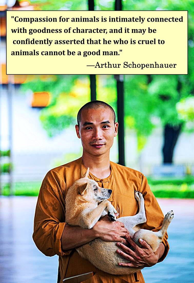 300 Best Pet Quotes of All Time - Parade Pets, image size:756x1100