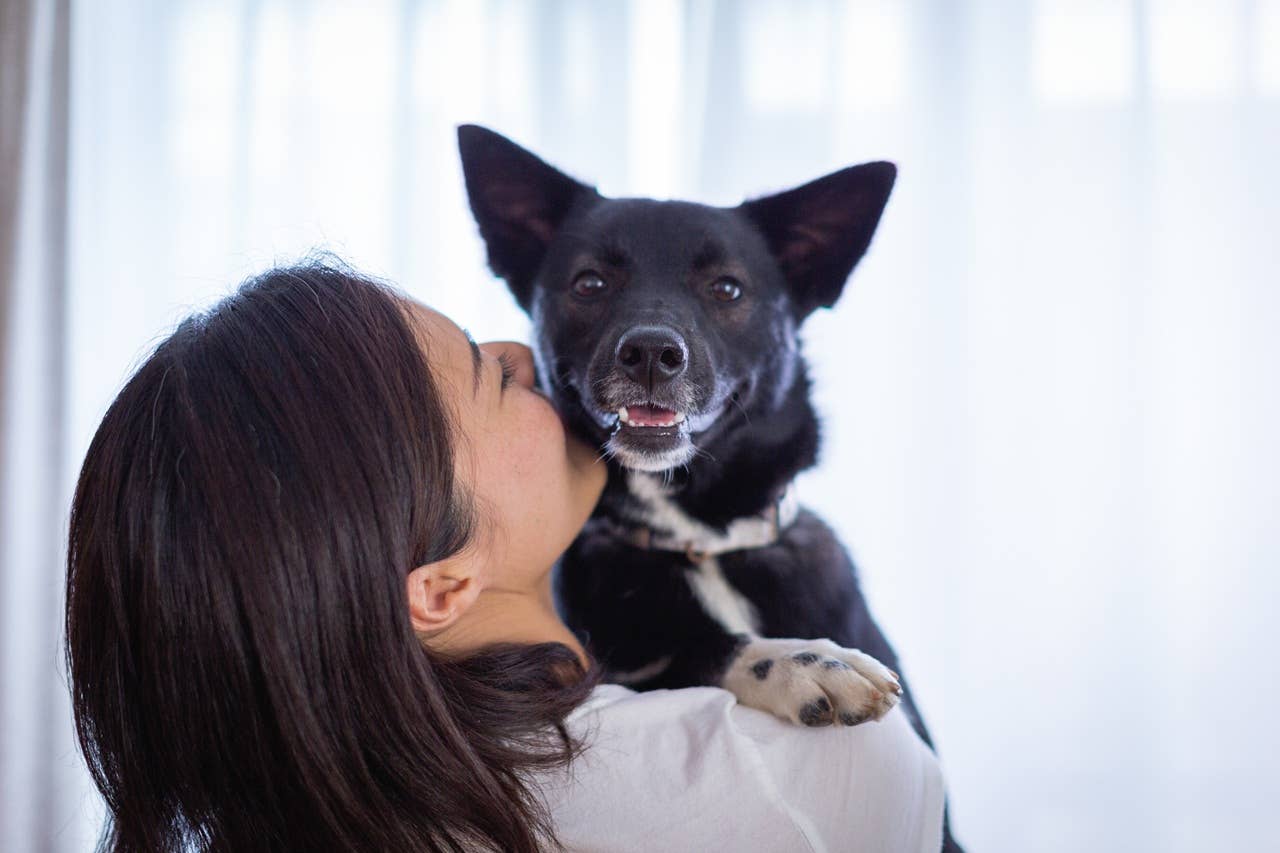 7 Signs Your Dog Is Loyal and Your Ride-or-Die Companion - Parade Pets